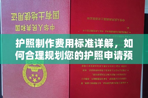 栾川护照制作费用标准详解，如何合理规划您的护照申请预算